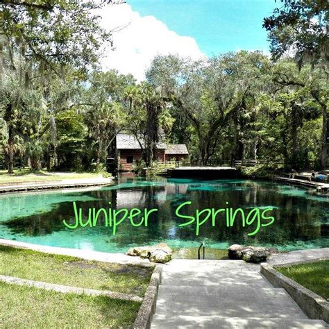 JUNIPER SPRINGS RECREATION AREA - Updated 2021 Campground Reviews ...