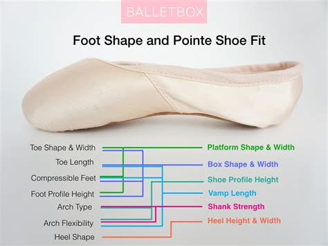 Pointe Shoe Fitting: Complete Guide to Getting the Best Pointe Shoes