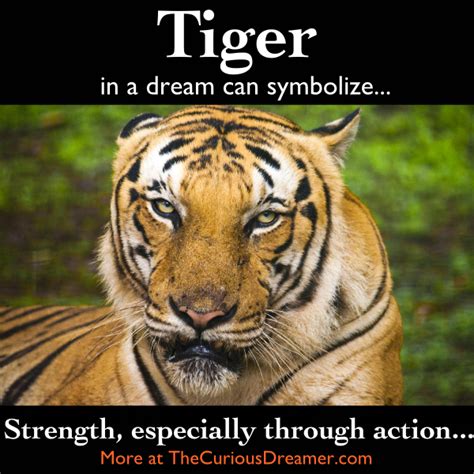 tiger dream symbol in The Curious Dreamer Dream Dictionary | Dream ...