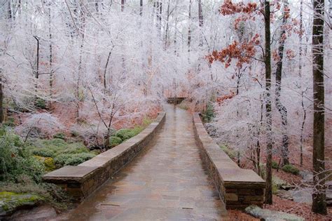 Wintertime in Garvan Woodland Gardens in Hot Springs, AR | Garden ...