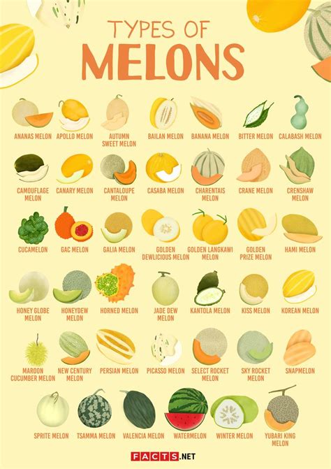 40+ Types of Melons To Discover From Around the World - Facts.net ...