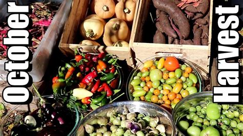 Big October Vegetable Garden Harvest (2018): Local Food At Its Best ...