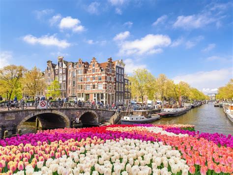 Amsterdam, Netherlands Travel Guides for 2024 - Matador