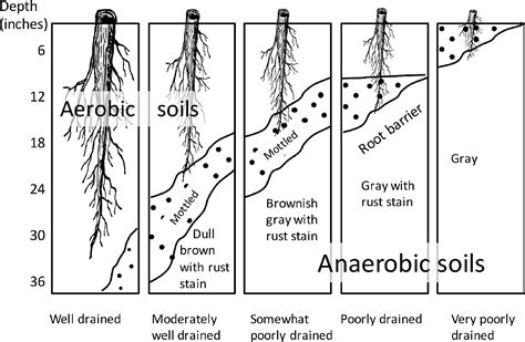 [PDF] Soil and Soil Water Relationships | Semantic Scholar