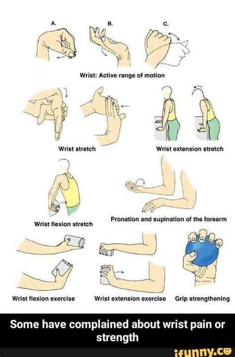 Wrist: Active range of motion Wrist extension stretch Pronation of the ...