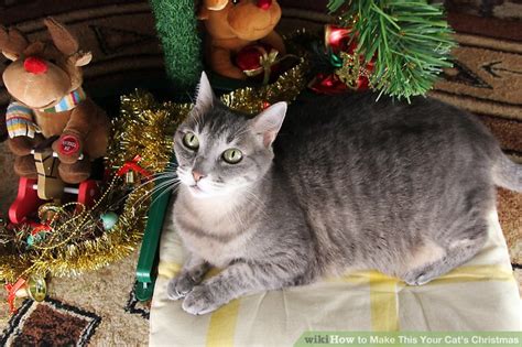 How to Make This Your Cat's Christmas: 7 Steps (with Pictures)