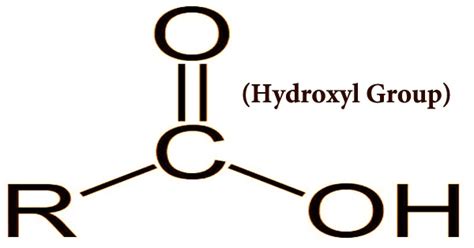 Hydroxyl Group - Assignment Point