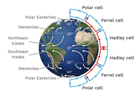 Atmospheric Circulation - Labster