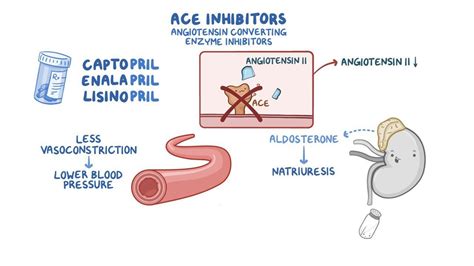 ACE inhibitors, ARBs and direct renin inhibitors - Osmosis