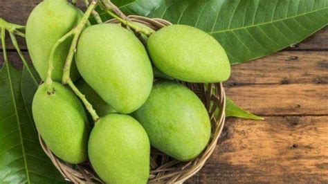 Lima Tips Mematangkan Mangga Muda - pidjar.com