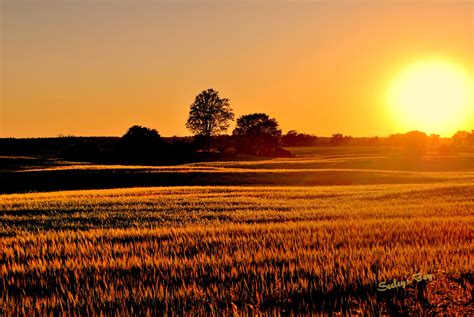 Sunset over farm fields in Seeley's Bay | Vacation spots, Travel inspo ...