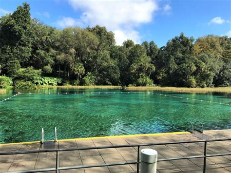 Rainbow Springs State Park: Discover Breathtaking Crystal Clear Waters ...