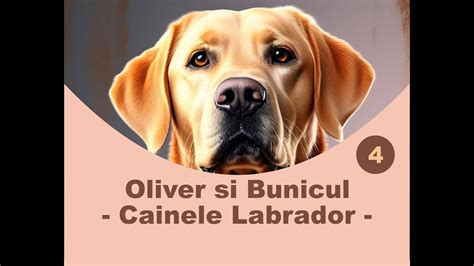 Oliver si Bunicul Leonard - Cainele Labrador - YouTube