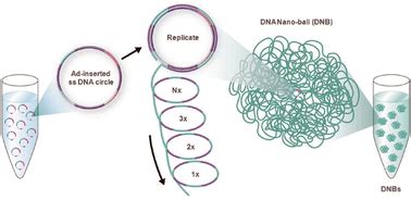 Next Generation Sequencing: Chemistry, Technology and Applications ...