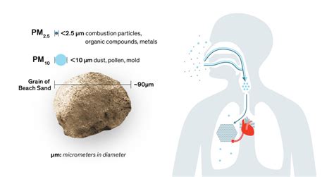 Pollution Facts - AQLI