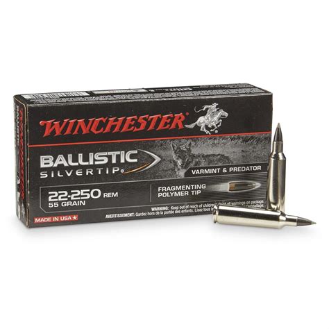 Winchester Supreme Ballistic Silvertip, .22-250 Remington, BST, 55 ...