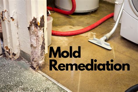 Mold Removal Services in Montgomery, AL - Bio-One of Montgomery