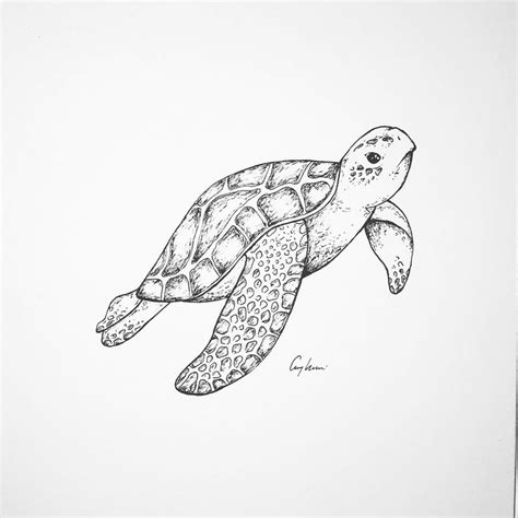 Sea animals drawings, Ocean drawing, Ocean tattoos