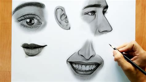 Human Face Drawing Pencil Sketch - Easy face drawing tutorial with ...