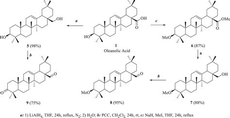 Synthesis of carbonyl derivatives of OA | Download Scientific Diagram