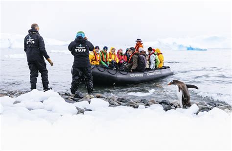 Antarctic Peninsula - Cruises, Expeditions & Trips