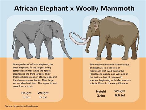 Paleo Art, The Wooly, Prehistoric Animals, African Elephant, Creature ...