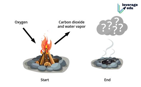 Chemical Change Example - Leverage Edu