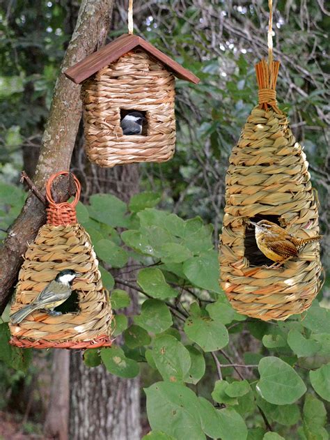 Finch Bird House Placement | Birdcage Design Ideas