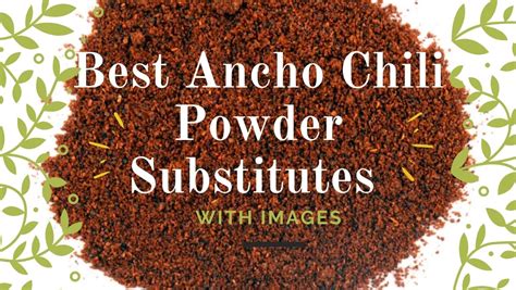 8 Best Ancho Chili Powder Substitutes With Images - Asian Recipe