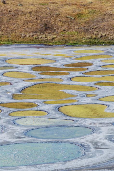 How to Visit Lake Kliluk (Spotted Lake) in Osoyoos, Canada: 2022 Facts ...