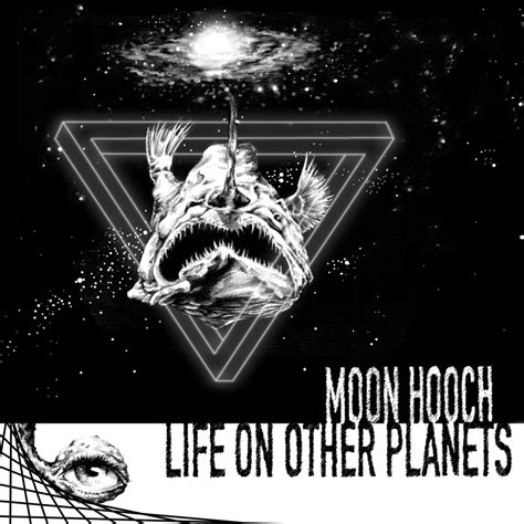 Moon Hooch, Life on Other Planets in High-Resolution Audio ...