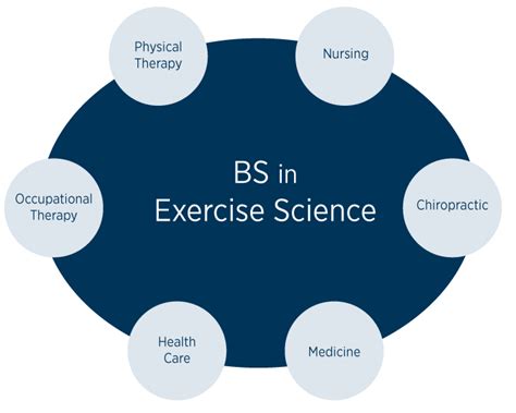 Undergraduate Exercise Science Degrees and Strength and Conditioning ...