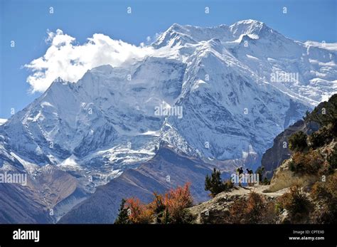 Couple trekking in manang district hi-res stock photography and images ...