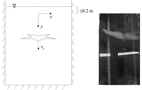 Sketch and snapshot of the settling velocity experiment. | Download ...