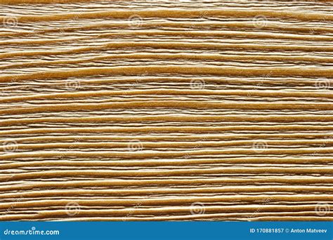 Brushed wood texture stock image. Image of bright, molded - 170881857