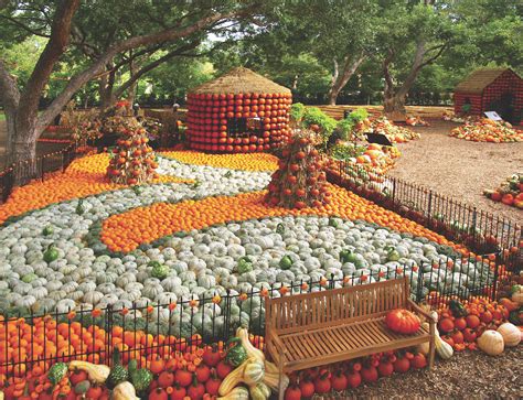 It's Officially Fall at the Dallas Arboretum - D Magazine