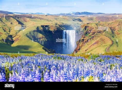 Famous Skogafoss waterfall Stock Photo - Alamy