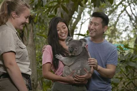 Explore the Enchanting Brisbane Koala Sanctuary