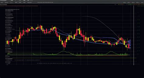 What are Forex Signals?