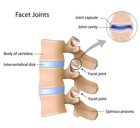 Facet Joint Injections (Cervical and Lumbar) | Rolling Hills Md