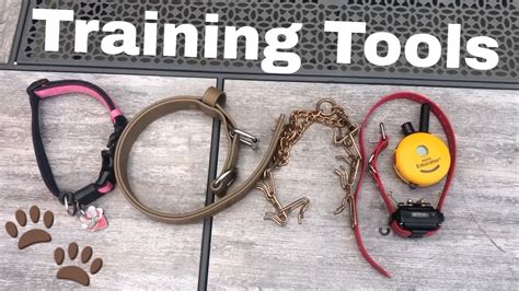 Choosing the right dog training collar - YouTube