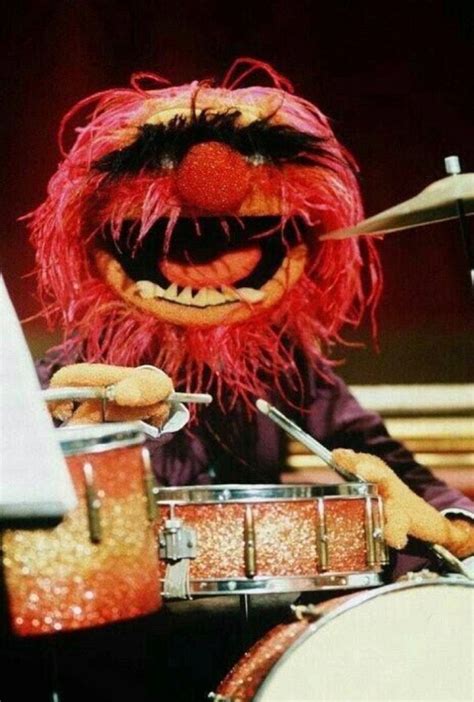 Pin by Sarah's Fandom on The Muppets | Muppets, Girl drummer, Drums