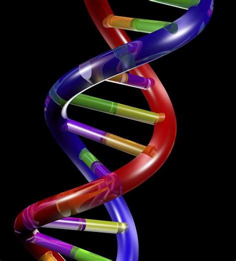 🔥 Free Download Related Pictures Dna Double Helix Model On Black ...