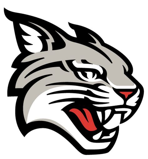 A snarling Wildcat: Davidson College unveils new logo for first time in ...