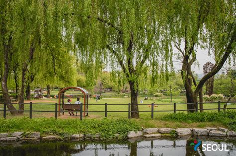 Yongsan Family Park - Seoul