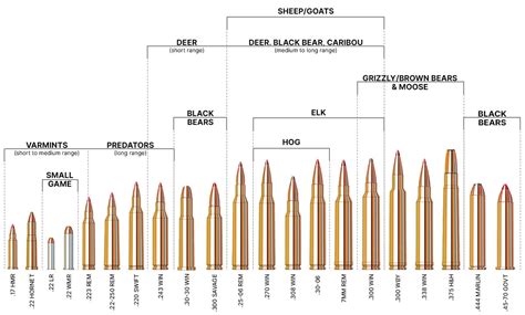 Rifle Caliber Ballistics Performance Chart | Sportsman's Warehouse