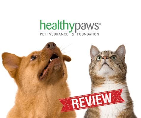 Pet Insurance Reviews | Best & Worst of 2016