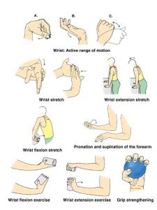 Healthy Life: Wrist Exercises (758) | Manipulative Ergonomic & Sports ...