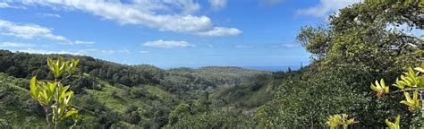 Pupukea Summit Trail, Oahu, Hawaii - 118 Reviews, Map | AllTrails