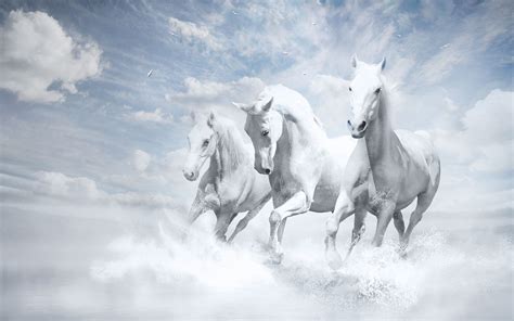 Pin by Shannon Noelle Kennedy on White | Horse wallpaper, Horses, White ...